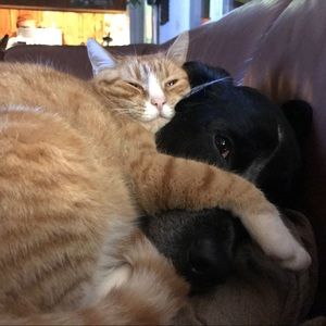 Meet your Posher, Caitlin